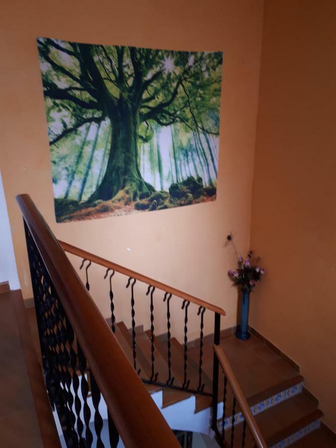Casa Camino Al Castillo Xativa Ngoại thất bức ảnh