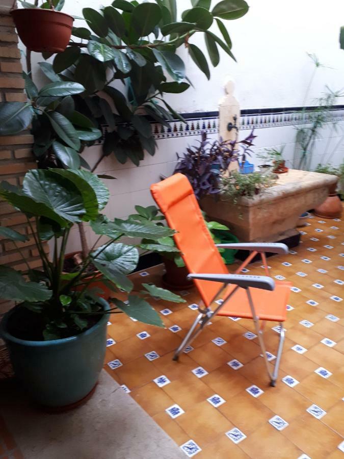 Casa Camino Al Castillo Xativa Ngoại thất bức ảnh